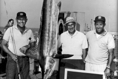 111 1967 Marlin 134 Billings D Catalina