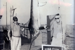 122 1964 Swordfish 259 Bateman G Catalina