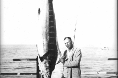 18 1931 Marlin 184 Swaffield R Catalina