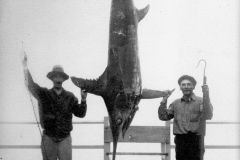 182 1929 Swordfish 426 Bardeen G Catalina