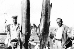 54 1936 Marlin 157 Swaffield P Catalina