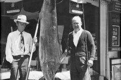 88 1936 Marlin 172 Hunter L Long Beach