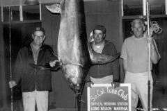 97 1966 Swordfish 217 Bateman G Long Beach